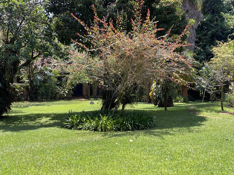 Manor on Lower Kabete - Gallery 43